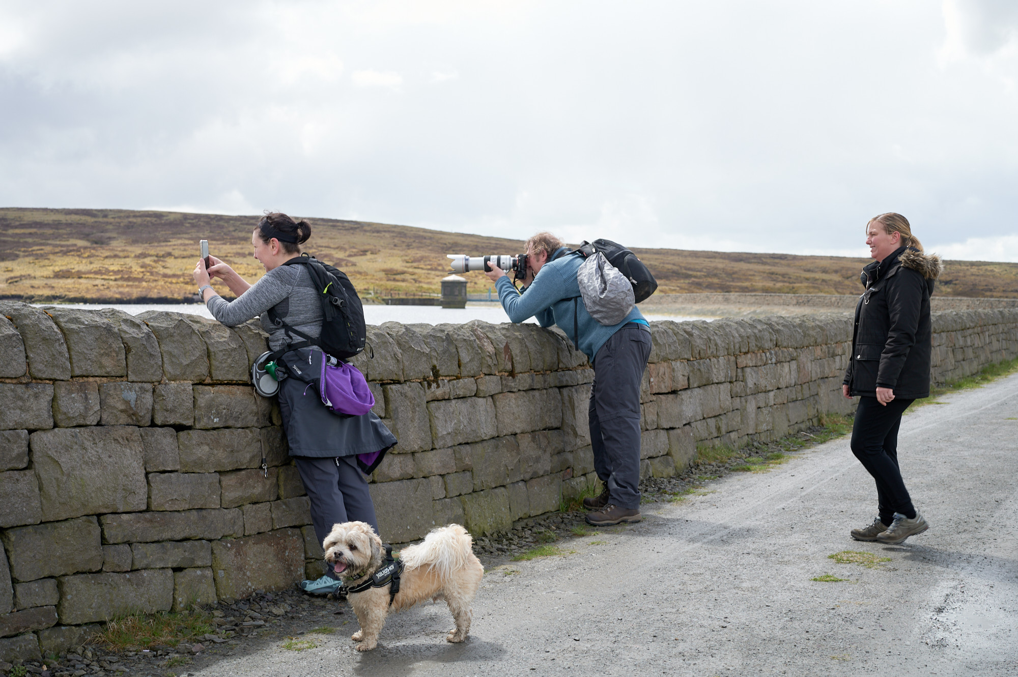 Dove Stone Reservoir walk