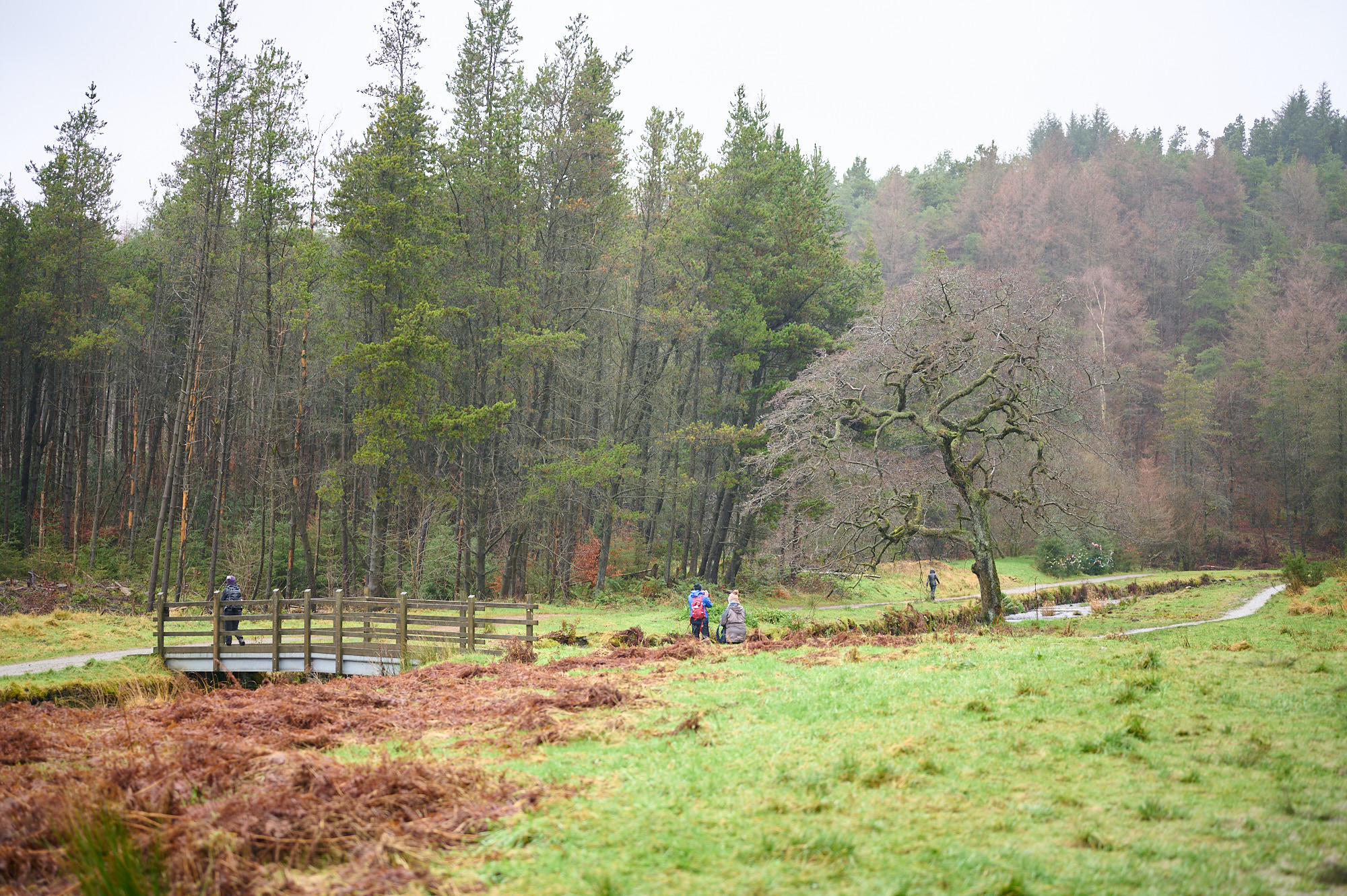 Turton and Entwistle Reservoir