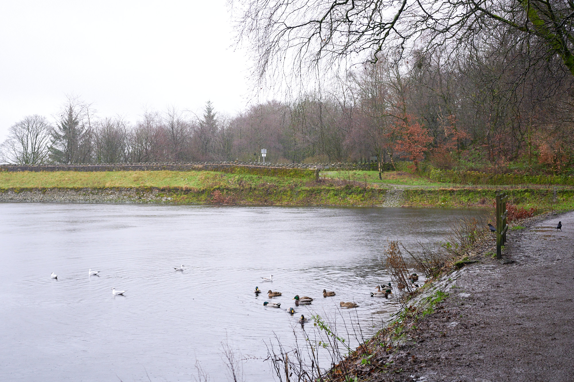 Turton and Entwistle Reservoir