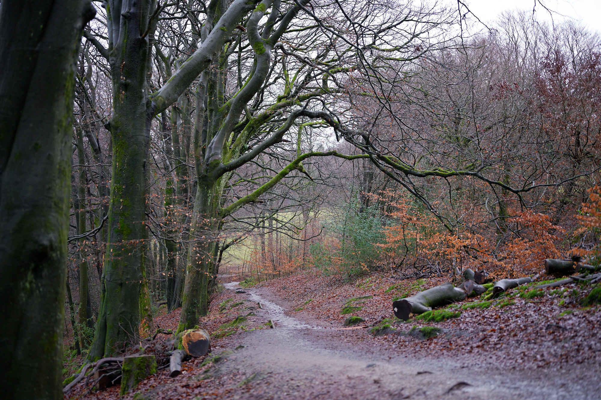 Turton and Entwistle Reservoir