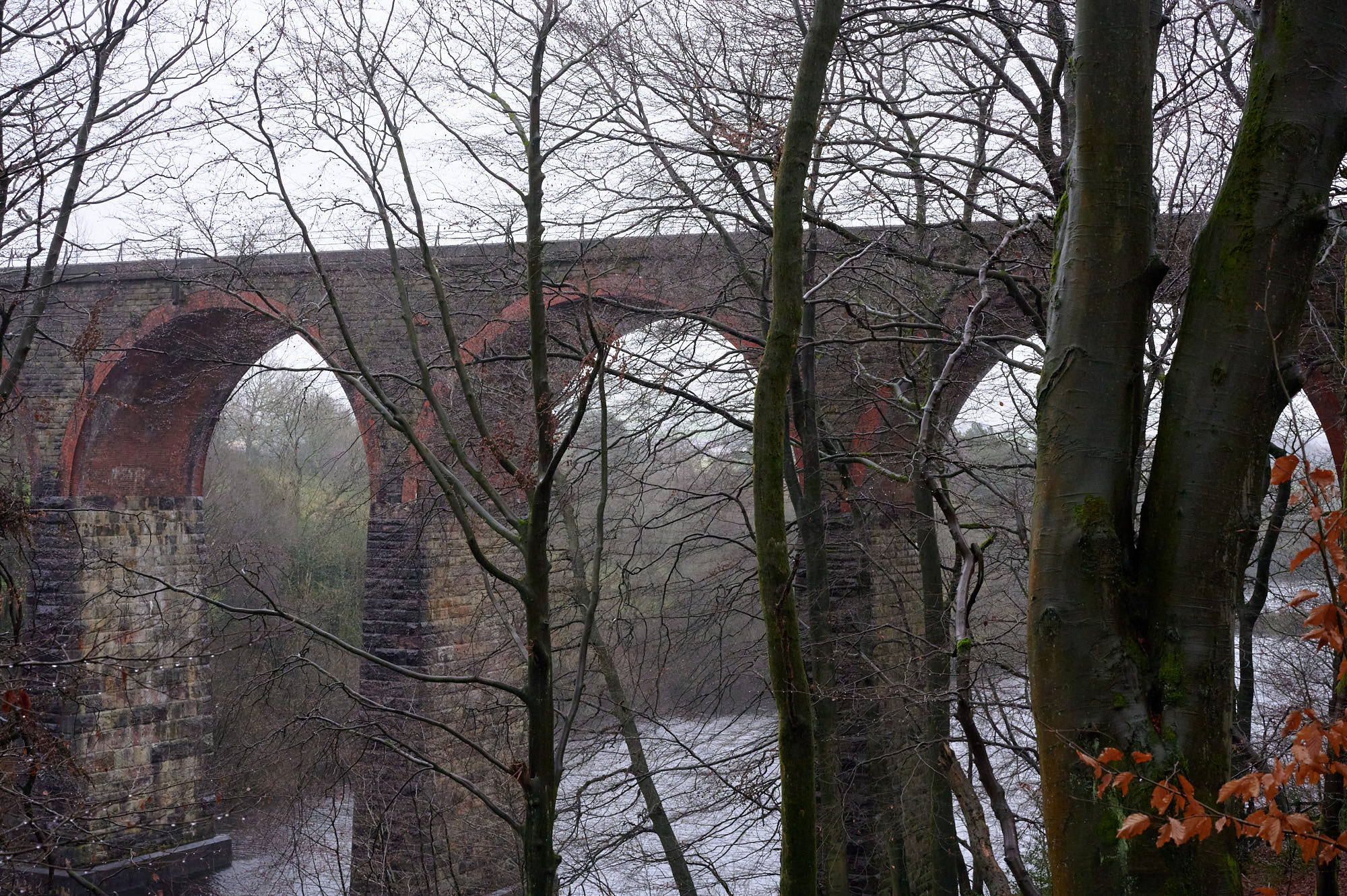 Turton and Entwistle Reservoir