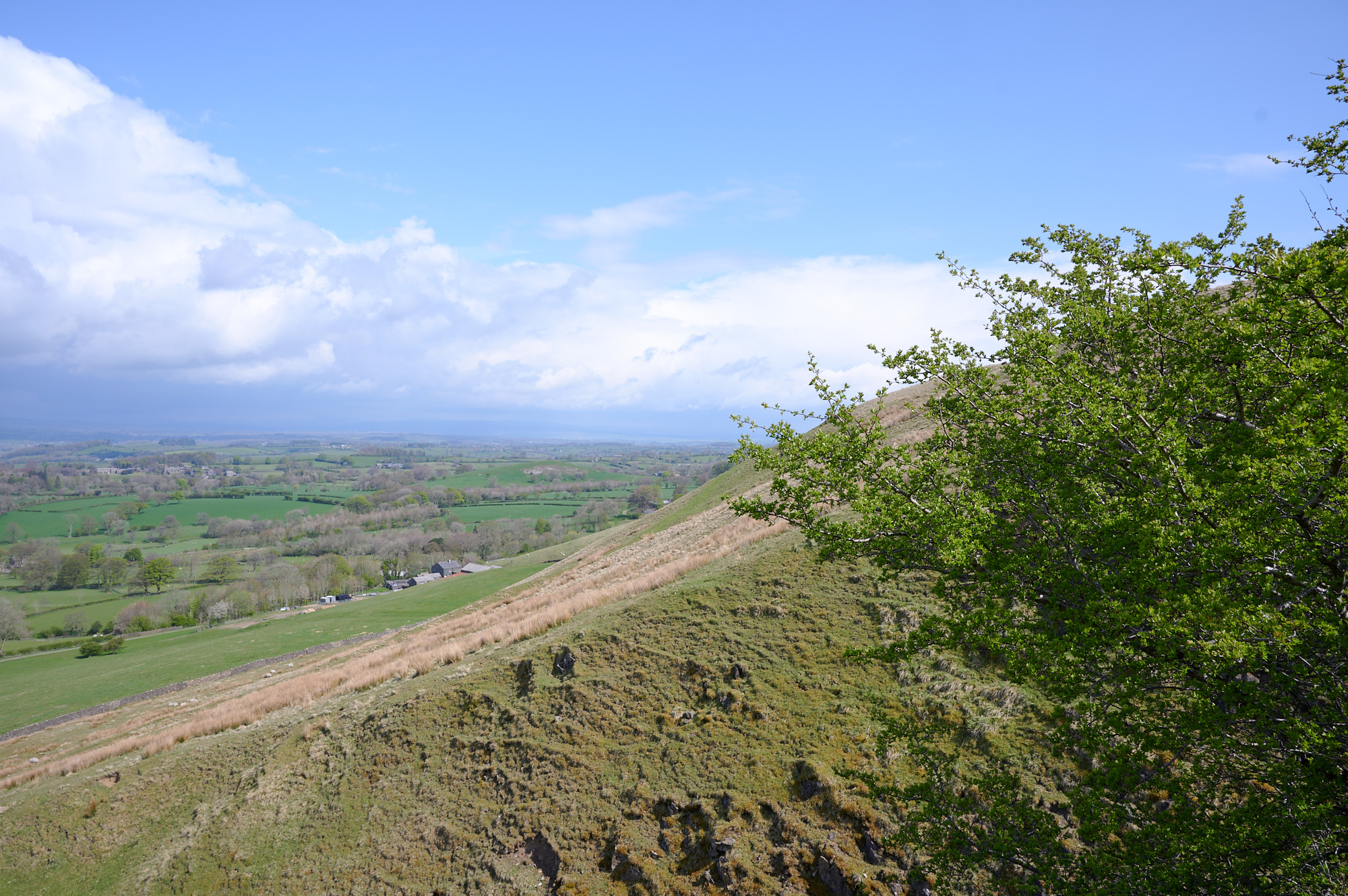 Pendle Hill walk