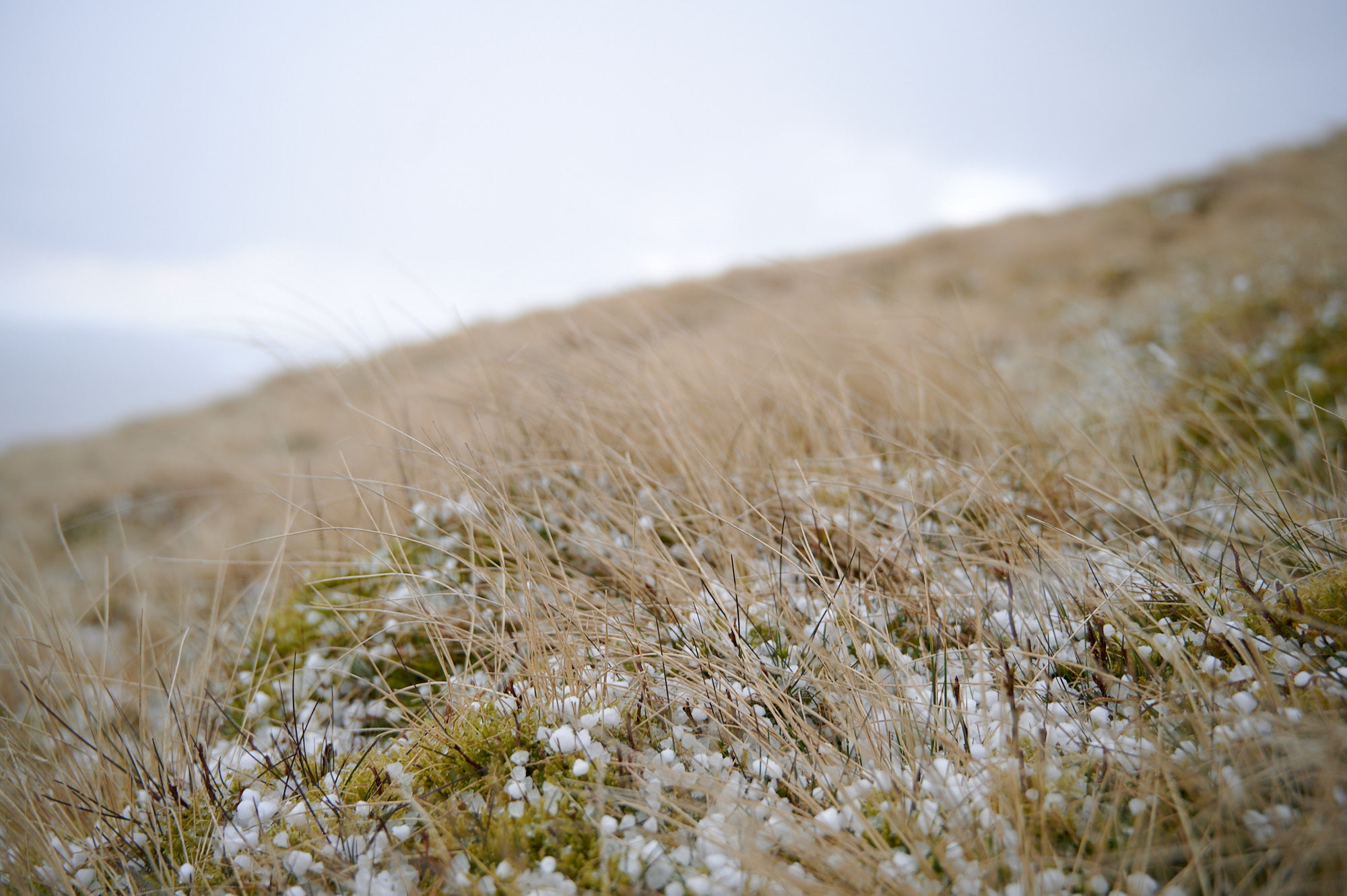 Pendle Hill walk