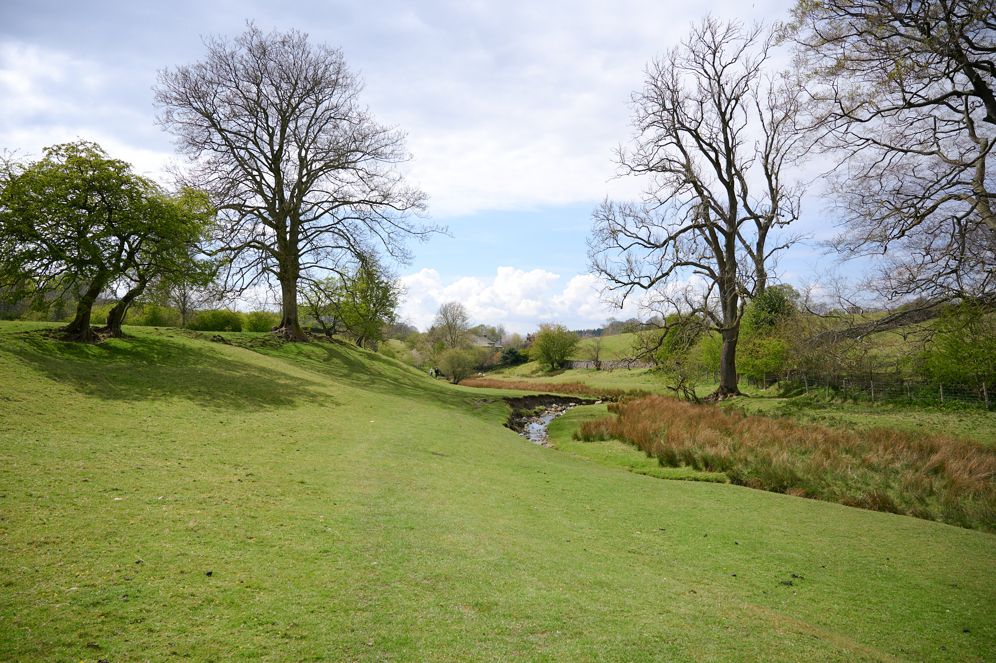 Pendle Hill walk